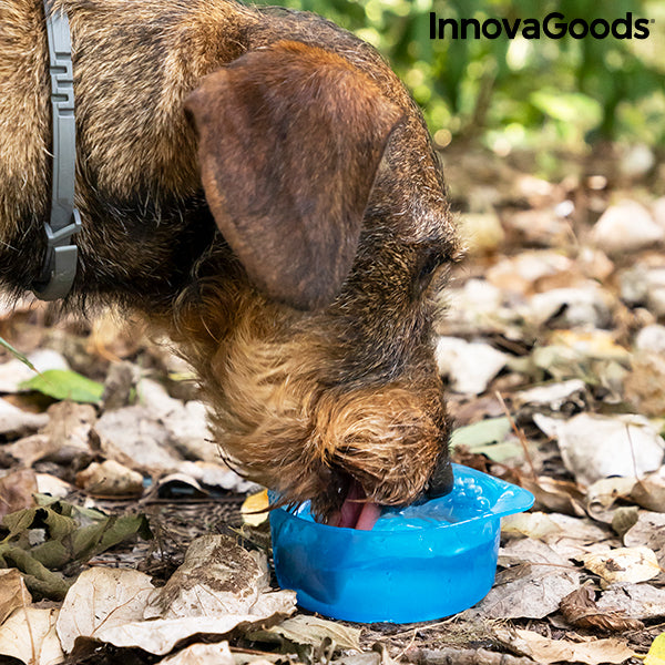 Bouteille avec Distributeur d'Eau et d'Aliments pour Animaux 2 en 1 Pettap InnovaGoods