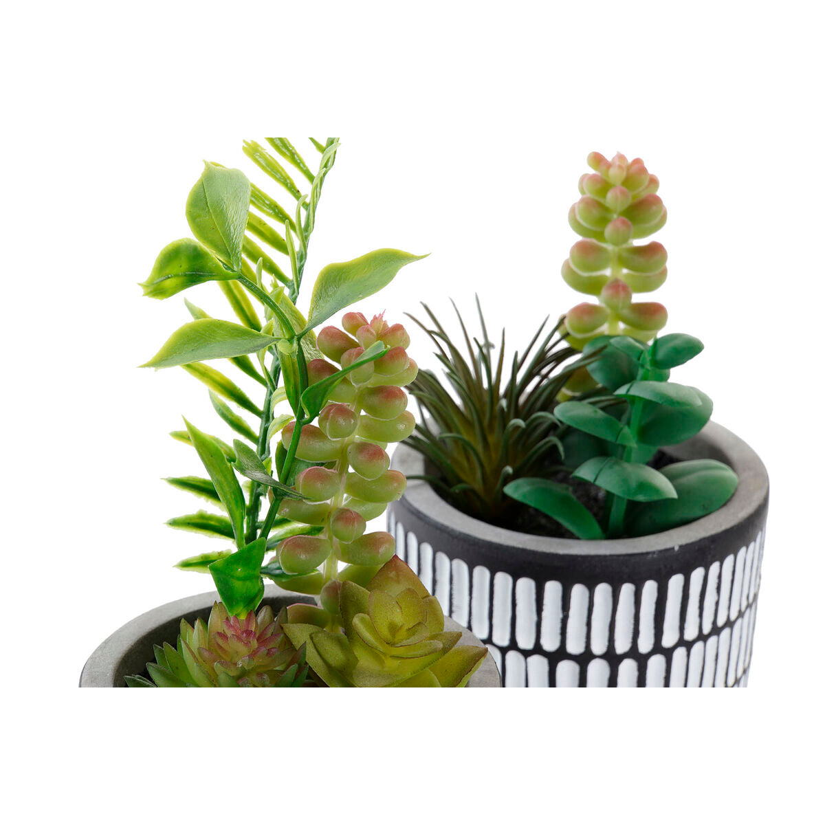 Plante décorative DKD Home Decor Céramique Noir Polyéthylène Blanc Vert (7 x 7 x 19 cm) (2 Unités)